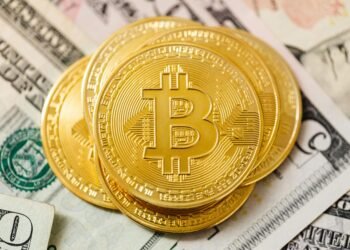 Retail Investors Lose $17 Billion in Bitcoin Management Companies