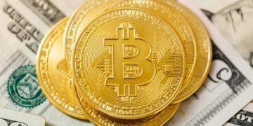 Retail Investors Lose $17 Billion in Bitcoin Management Companies